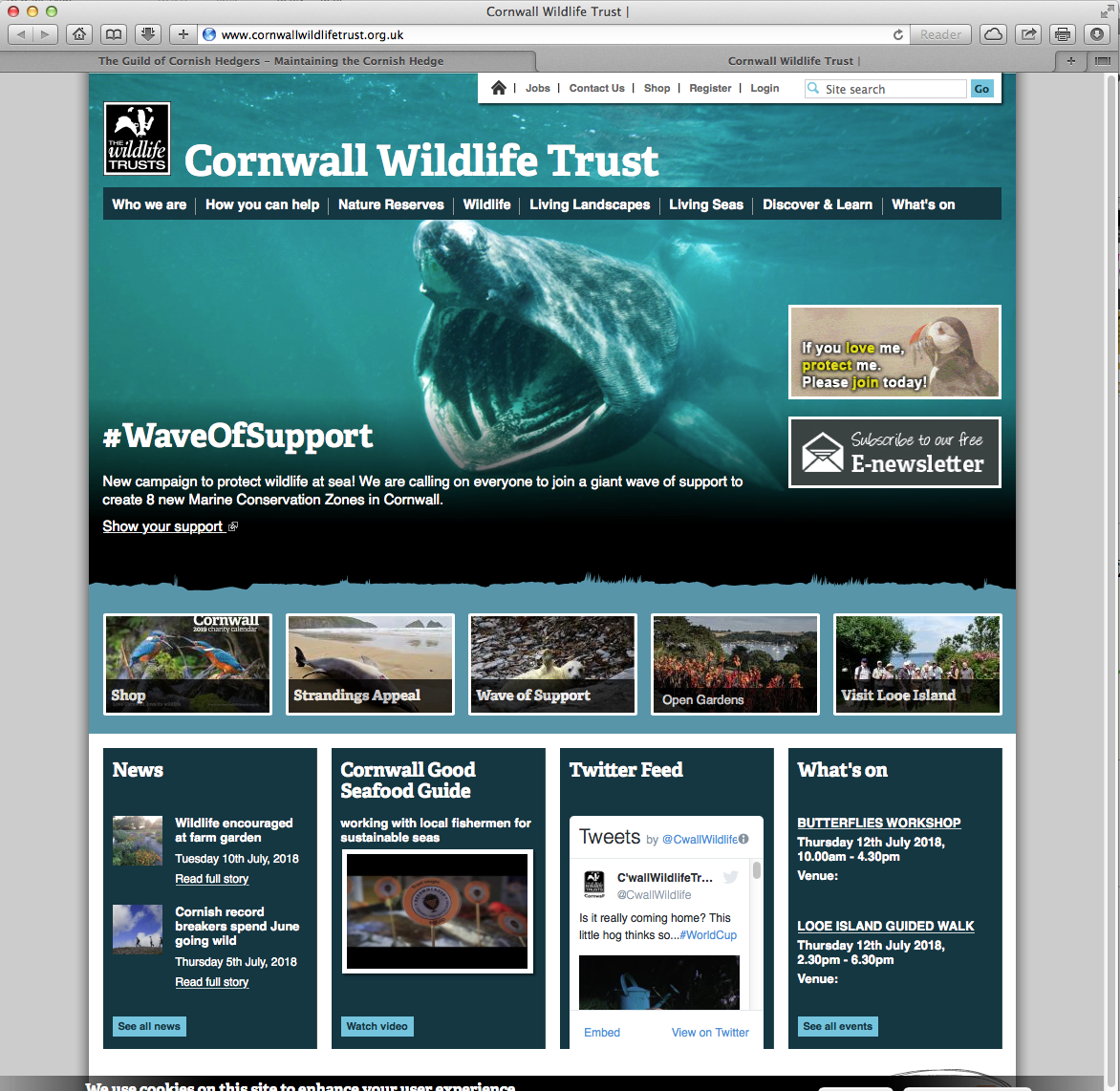 Cornwall Wildlife Trust The Guild of Cornish Hedgers